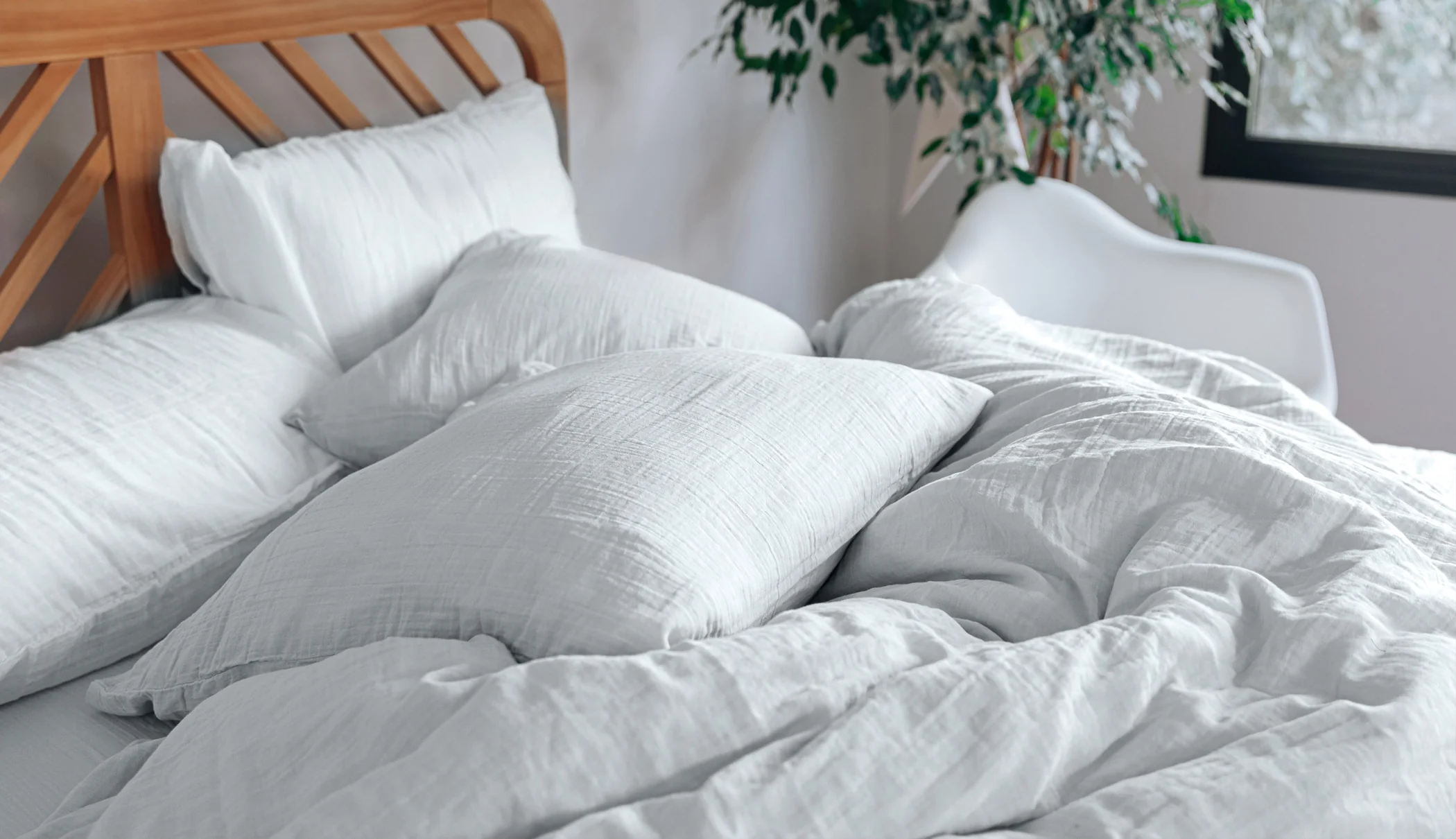 Imagen del producto 12